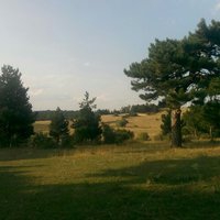 Banaz Paşacık Köyü Resimleri 4