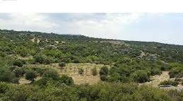 Gelibolu Kocaçeşme Köyü Resimleri 1