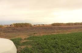 Gelibolu Kocaçeşme Köyü Resimleri 2