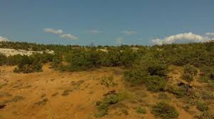 Banaz Yazıtepe Köyü Resimleri 8