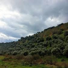 Gelibolu Ocaklı  Köyü Resimleri 5