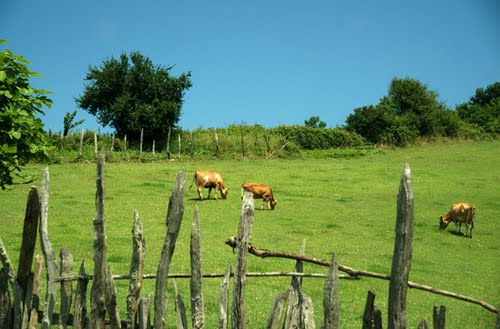 Banaz Yenice Köyü Resimleri 9
