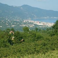 Espiye İbrahimşeyh Köyü Resimleri 1