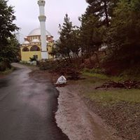 Espiye İbrahimşeyh Köyü Resimleri 10