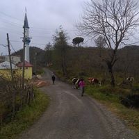 Espiye İbrahimşeyh Köyü Resimleri 11