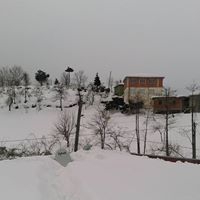 Espiye İbrahimşeyh Köyü Resimleri 12