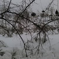 Espiye İbrahimşeyh Köyü Resimleri 13