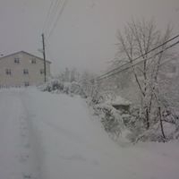 Espiye İbrahimşeyh Köyü Resimleri 2