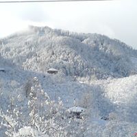 Espiye İbrahimşeyh Köyü Resimleri 3