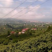 Espiye İbrahimşeyh Köyü Resimleri 8