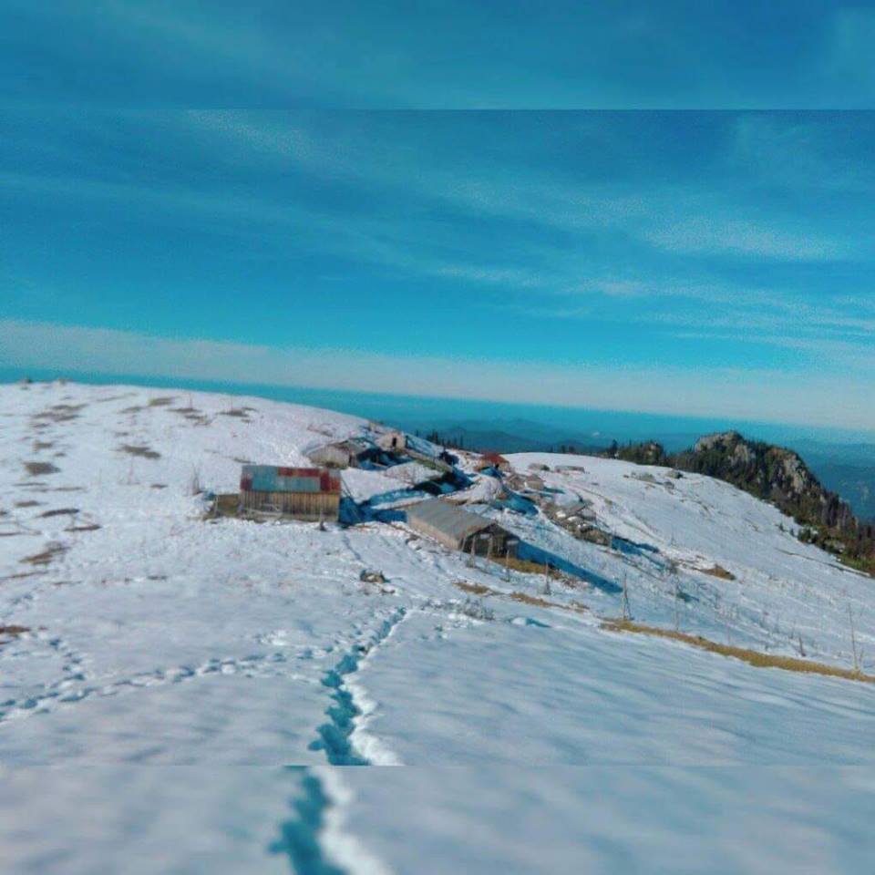 Espiye Seydiköy Köyü Resimleri 2