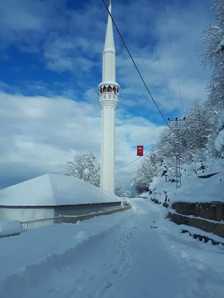 Espiye Seydiköy Köyü Resimleri 3
