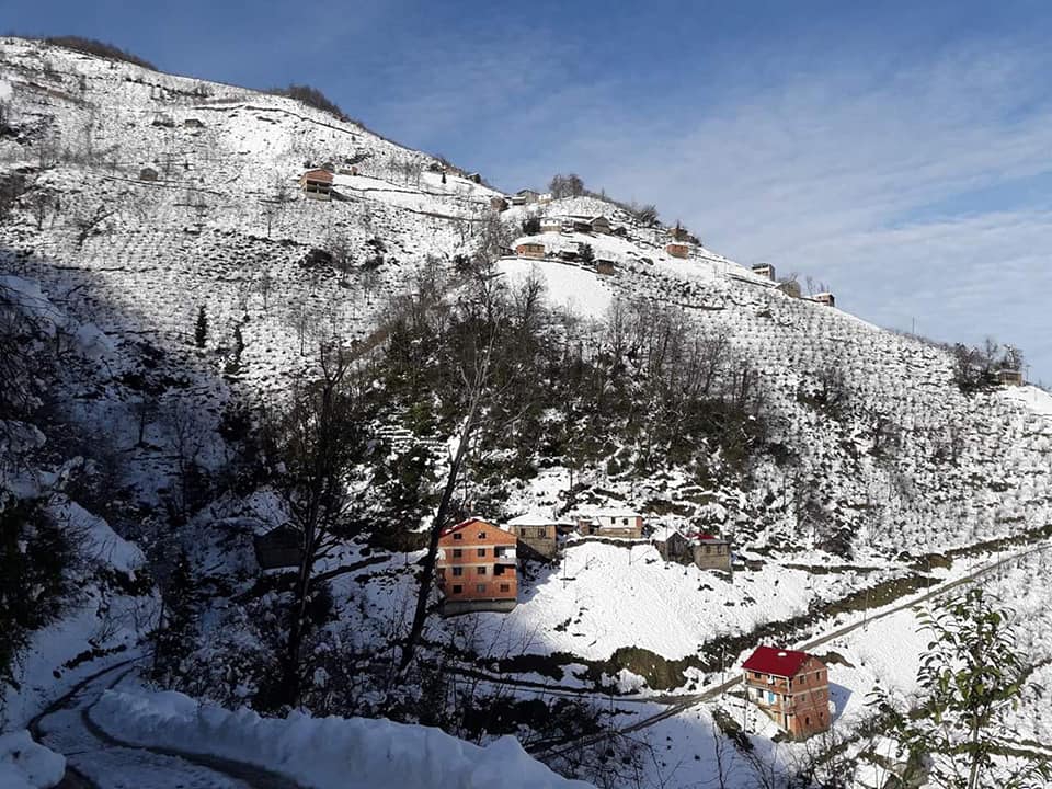 Espiye Seydiköy Köyü Resimleri 4