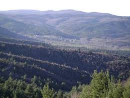 Lapseki  Beyçayırı Köyü Resimleri 2