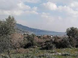 Lapseki  Çataltepe Köyü Resimleri 12