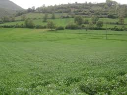 Lapseki  Çataltepe Köyü Resimleri 4