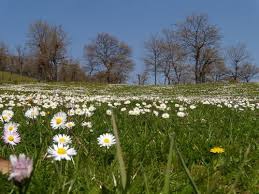 Lapseki Ecialan Köyü Resimleri 6