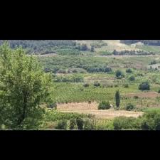 Lapseki  Gökköy Köyü Resimleri 7