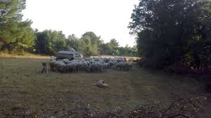 Lapseki  Gökköy Köyü Resimleri 8