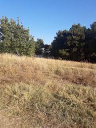 Lapseki  İlyasköy Köyü Resimleri 1