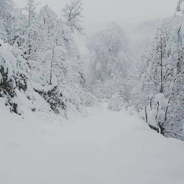Espiye Taflancık Köyü Resimleri 3