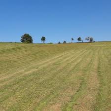 Lapseki  Nusretiye Köyü Resimleri 11