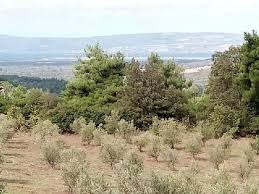 Lapseki  Yaylalar  Köyü Resimleri 1