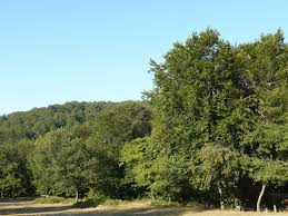 Lapseki  Yaylalar  Köyü Resimleri 5