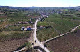 Lapseki Yenice Köyü Resimleri 4