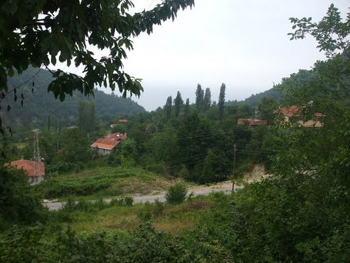 Abana Yakabaşı Köyü Resimleri 4