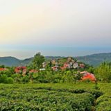 Eynesil Ören Köyü Resimleri 6