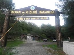 Abana Yeşilyuva Köyü Resimleri 4