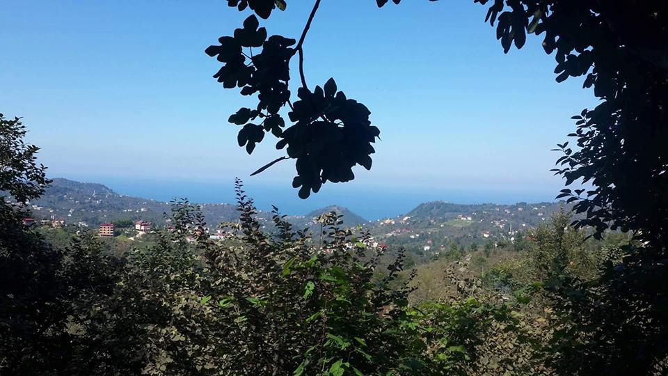 Arsin Işıklı Köyü Resimleri 2