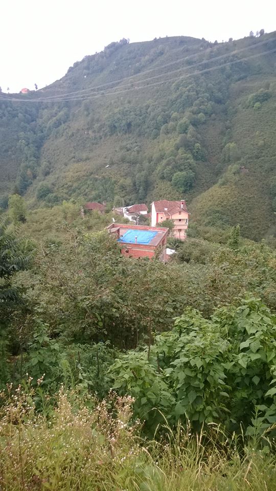 Arsin Işıklı Köyü Resimleri 5