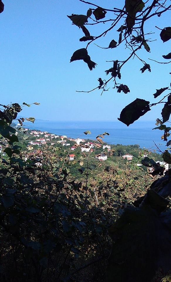 Eynesil Aralık Köyü Resimleri 1