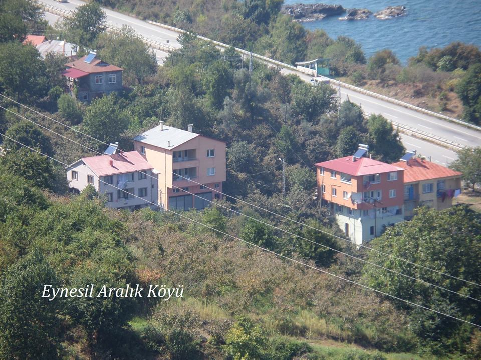 Eynesil Aralık Köyü Resimleri 2