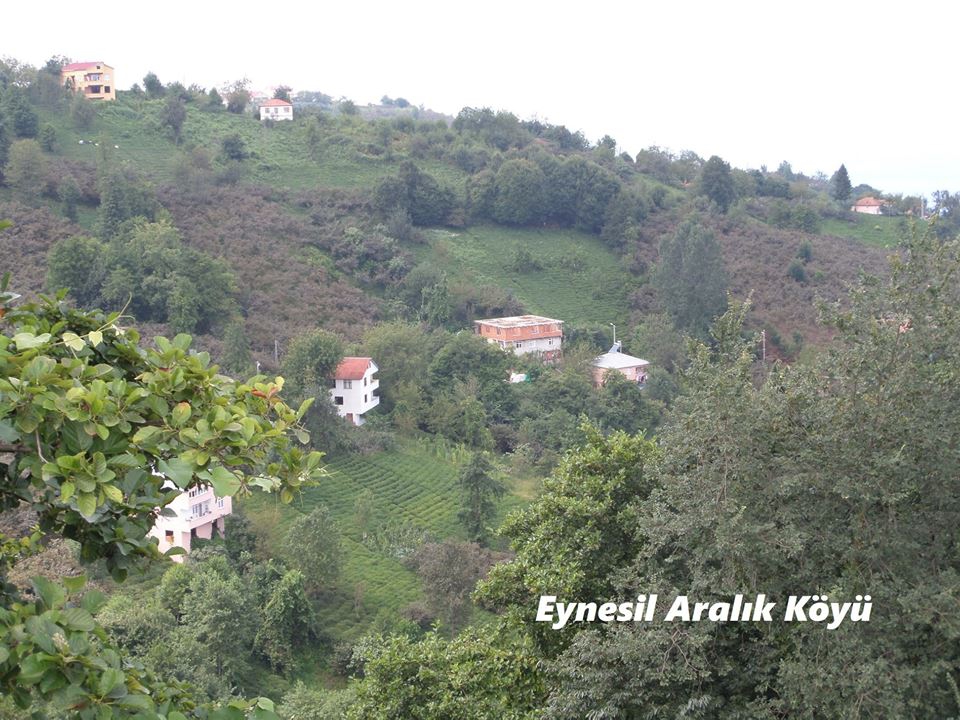 Eynesil Aralık Köyü Resimleri 5