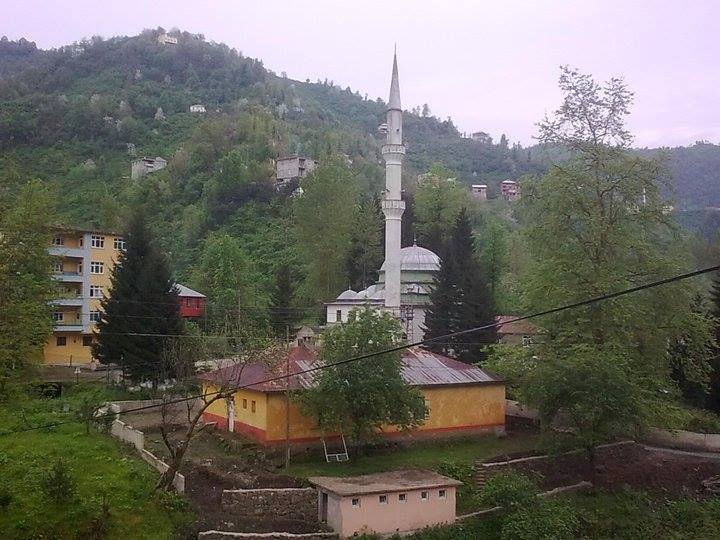 Eynesil Balcılı Köyü Resimleri 1