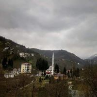 Eynesil Balcılı Köyü Resimleri 14