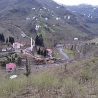 Eynesil Balcılı Köyü Resimleri 15