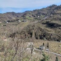 Eynesil Balcılı Köyü Resimleri 16