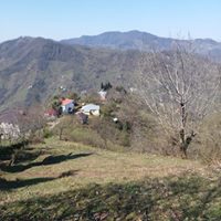 Eynesil Balcılı Köyü Resimleri 17