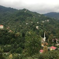 Eynesil Balcılı Köyü Resimleri 2