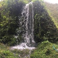 Eynesil Balcılı Köyü Resimleri 4