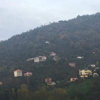 Eynesil Balcılı Köyü Resimleri 5