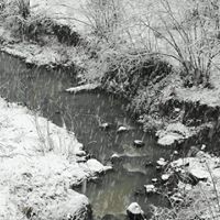 Eynesil Balcılı Köyü Resimleri 6