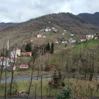 Eynesil Balcılı Köyü Resimleri 8