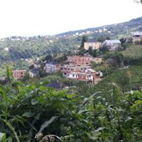 Eynesil Belen Köyü Resimleri 1