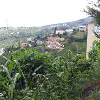 Eynesil Belen Köyü Resimleri 4