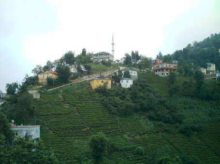 Eynesil Belen Köyü Resimleri 8